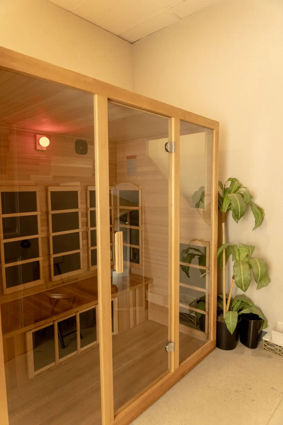 The infrared sauna with a potted plant beside the glass door