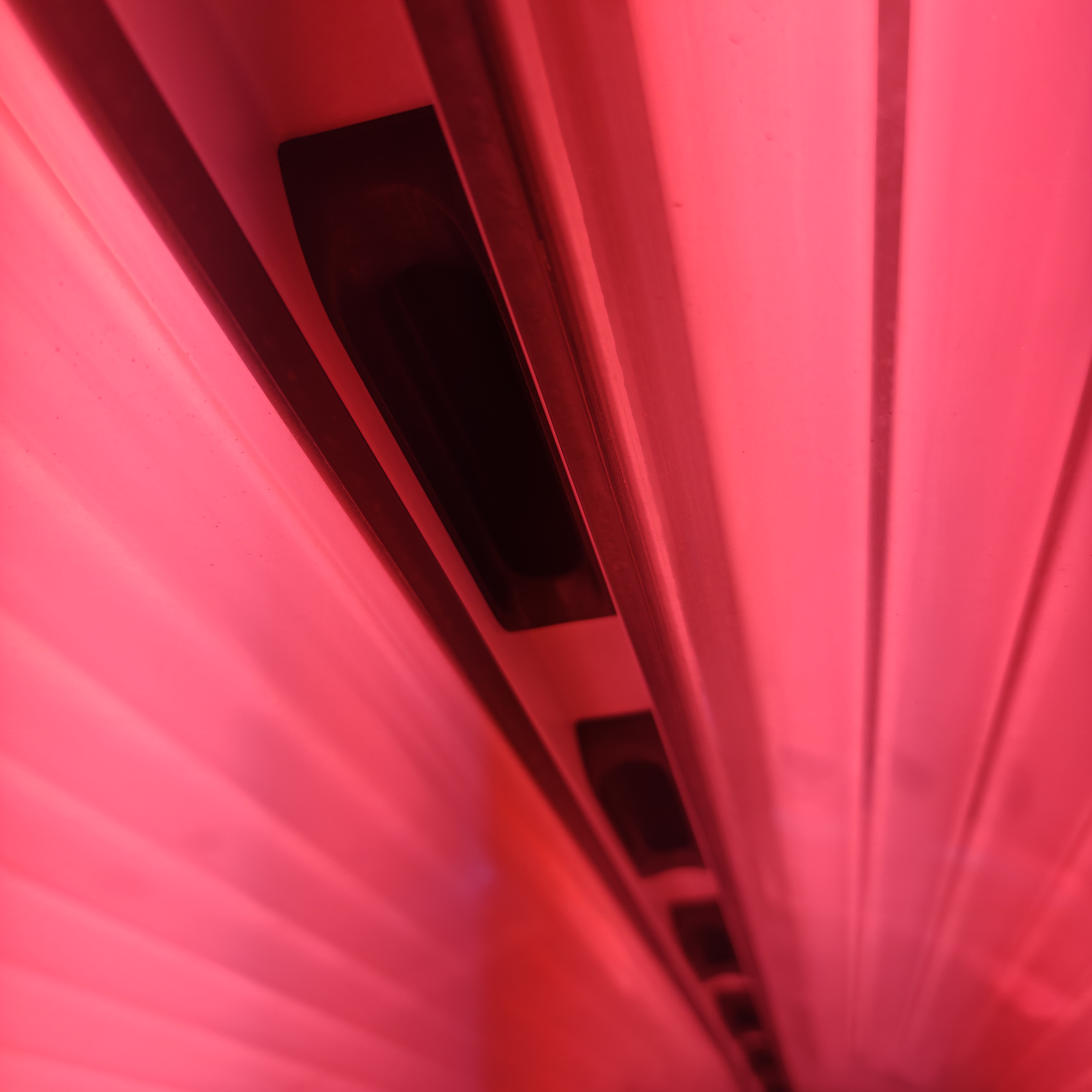 Red Light Therapy bed interior glowing at Citrus & Sage Wellness
